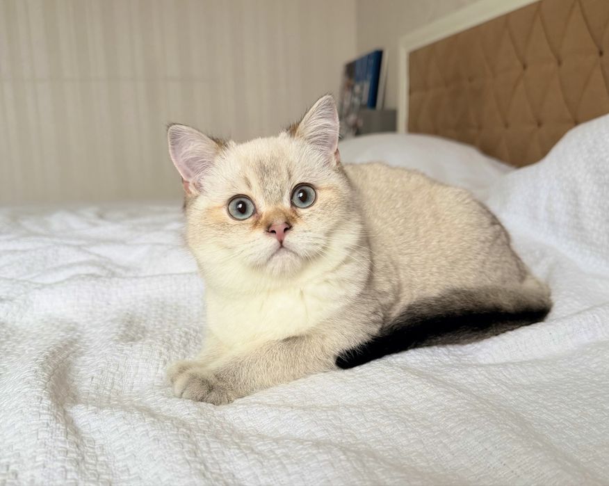 Хлопчик у рідкісному окрасі