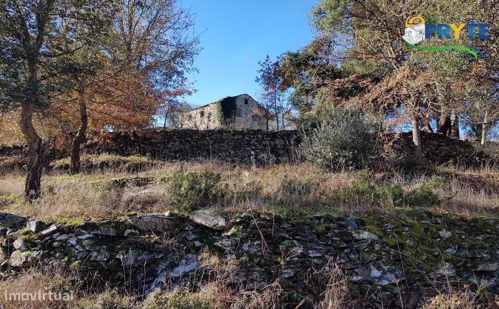 Quinta situada em Pedrógão Pequeno