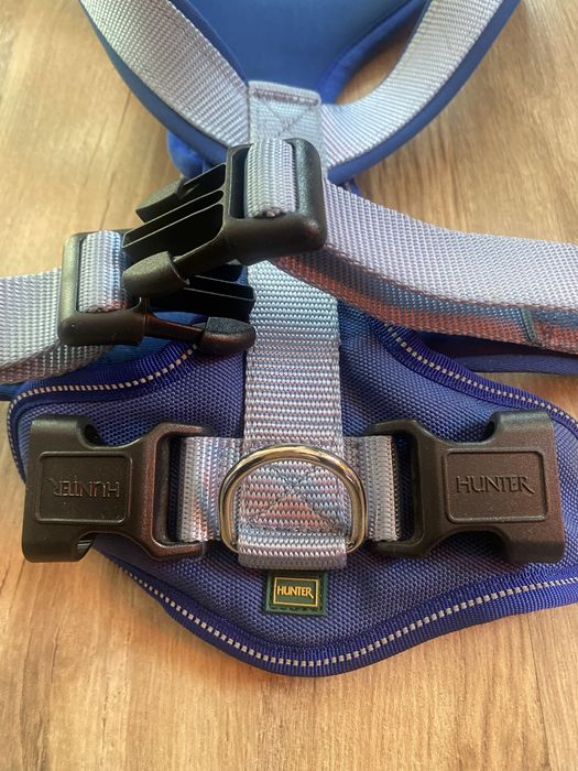 Шлія для собаки