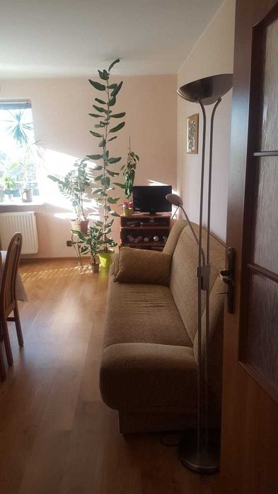 Na sprzedaż przestronne mieszkanie 52,80 m² – Luboń – další