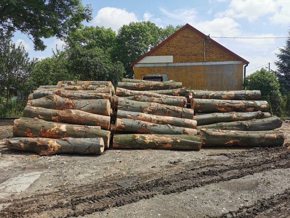 Drewno Opałowe Kominkowe Buk Grab Sezonowany Transport