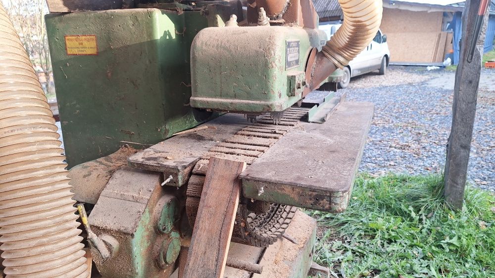 Wielopiła gąsienicowa