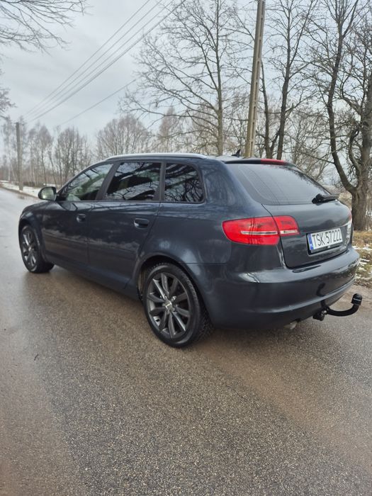 Audi A3 8P 1.6TDI