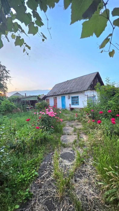 Одноповерховий будинок по вул.Небесної сотні.