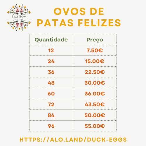 Ovos de pata grandes, frescos, produzidos de forma sustentável