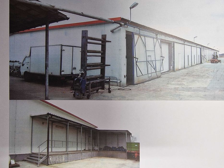 Gospodarstwo - PIECZARKARNIA