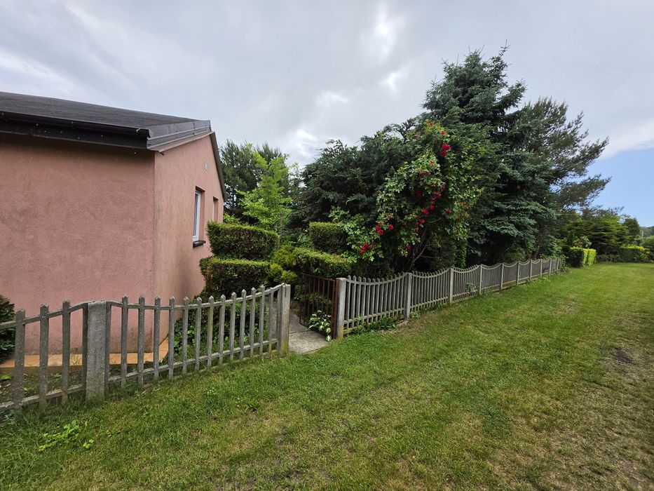 Działka Rod " Wapienniki " 470 m² . Batalionów Chłopskie 9 - Widok 5