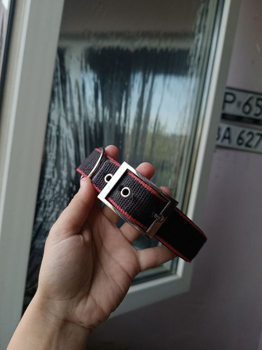 Ошейник для собаки