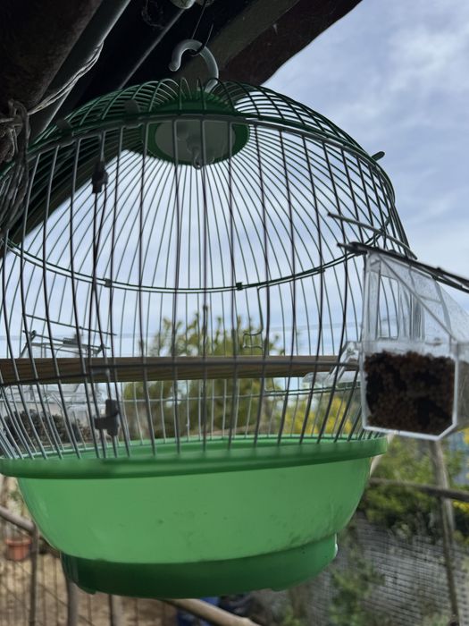 Gaiola verde / branca