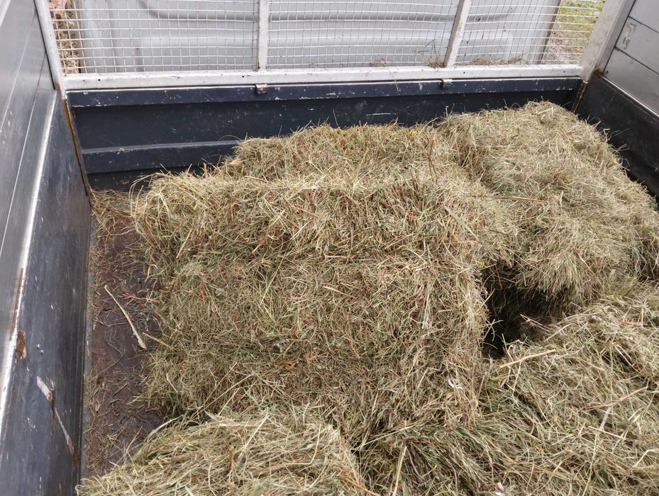 Sprzedam siano w kostkach