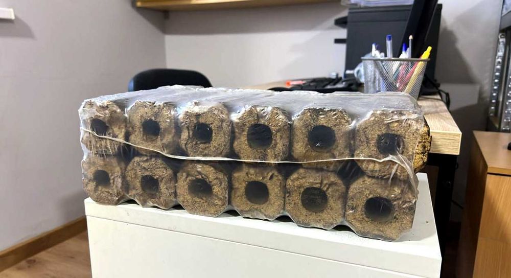 Пелети, Брикети, Вугілля – Прямі Ціни Від Постачальника