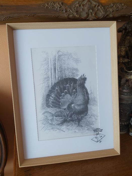 Piękna DUŻA grafika myśliwska łowiecka Głuszec. Prezent dla myśliwego