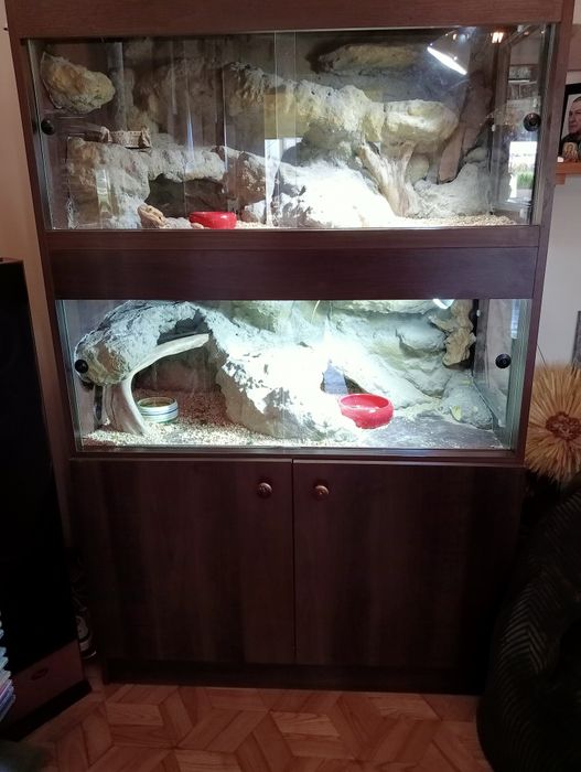 Terarium podwójne z szafką +Agamy