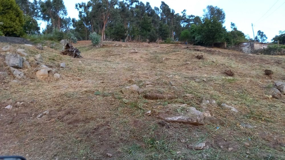 Limpezas de terrenos