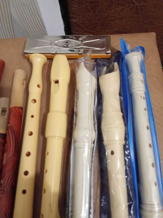 Сопілочки Hohner та інші