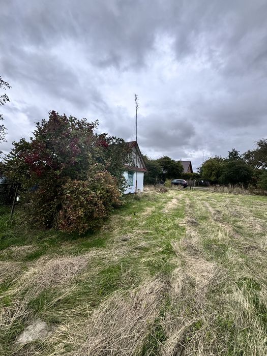 Продаж ділянки 50 сотих с.Романів