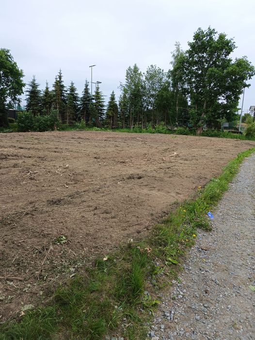 Czyszczenie działek,wycinka drzew,rekultywacja terenów,niwelacje