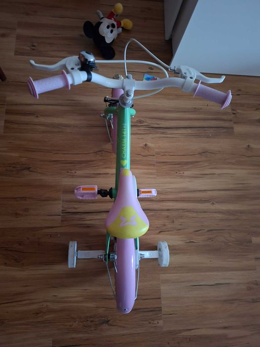 Bicicleta com rodinha e acessórios