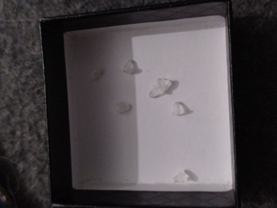 Zatyczki / baranki do kolczyków 6 par