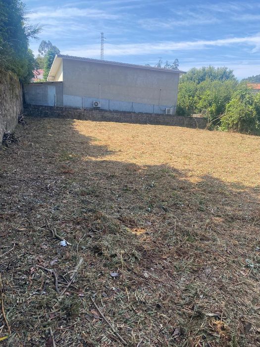 Limpeza de Terrenos Florestais · Abate de Árvores · Lenha · Jardinagem