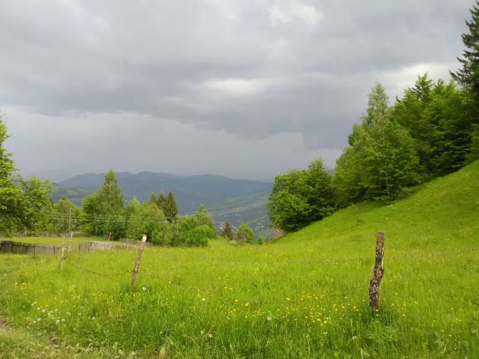 Продаеться земля 10 соток на Чорній Горі урочище Секерц