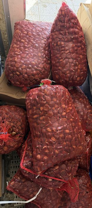 Castanhas grossas da zona da serra da estrela