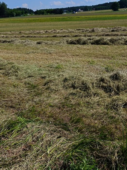 Działka budowlana Kobyla Góra 12 ar
