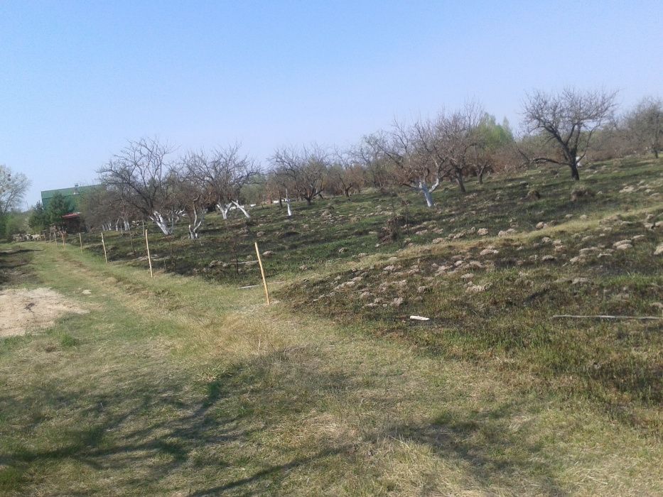 Продається 1 гектар землі,від ВЛАСНИКА.