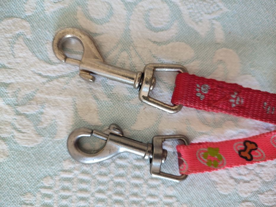 Duas trelas para animais