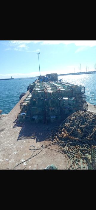 Barco pesca profissional - Peniche - licença covos e outras