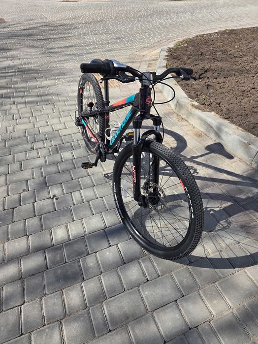 Connadal trail 24"