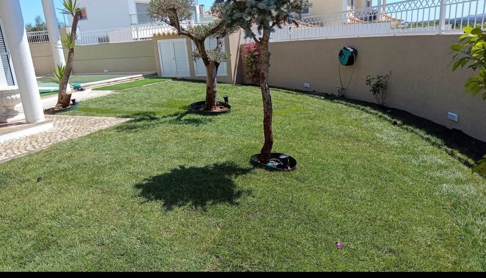 Jardineiro manutenção e construção Jardins bricolage