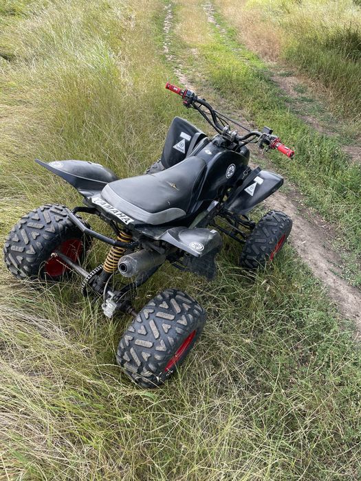 Квадроцикл   250 вайпер механіка башан 250 bashan yamaha