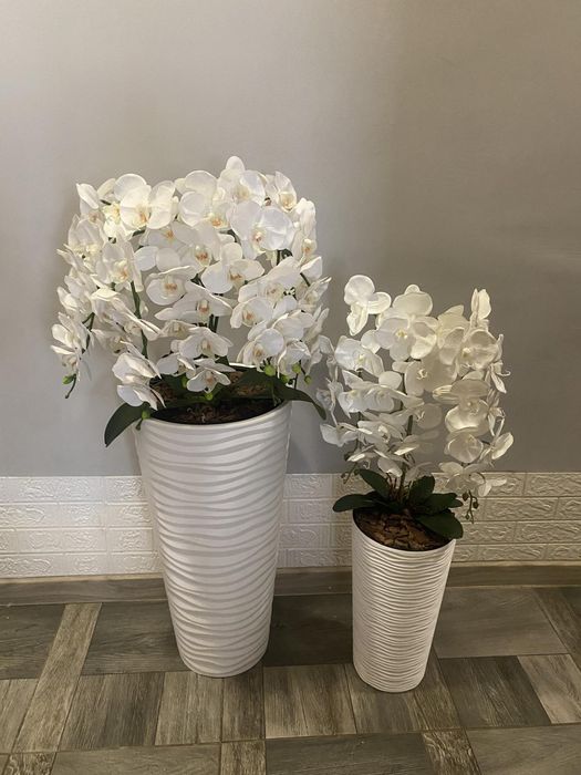 Латексні орхідеї