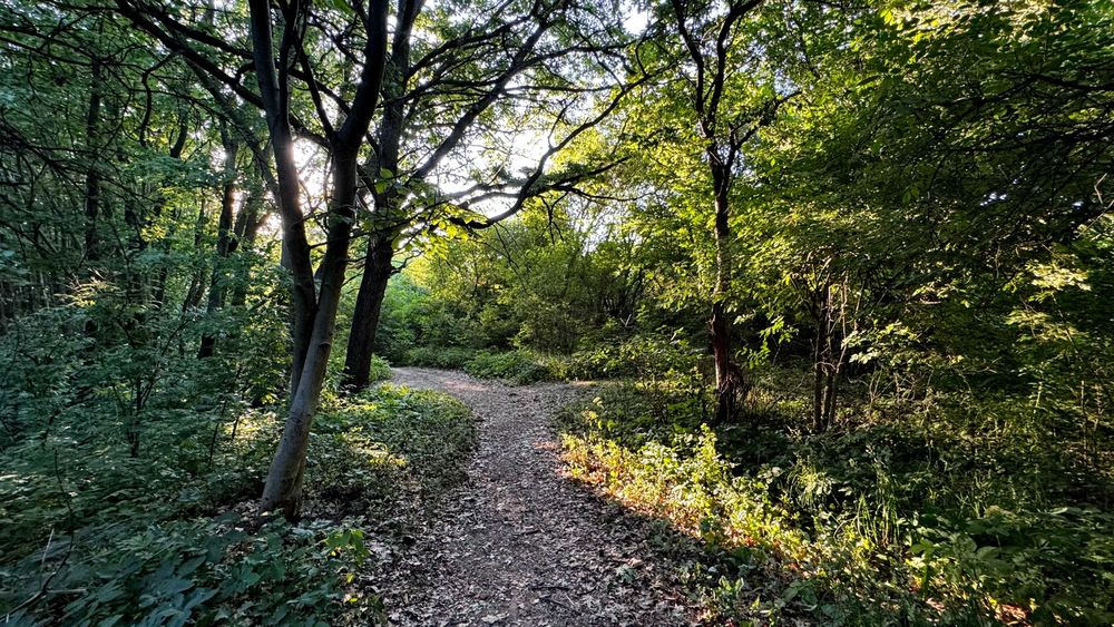 Продаж землі комерційного призначення, Львів, вул. Ланова