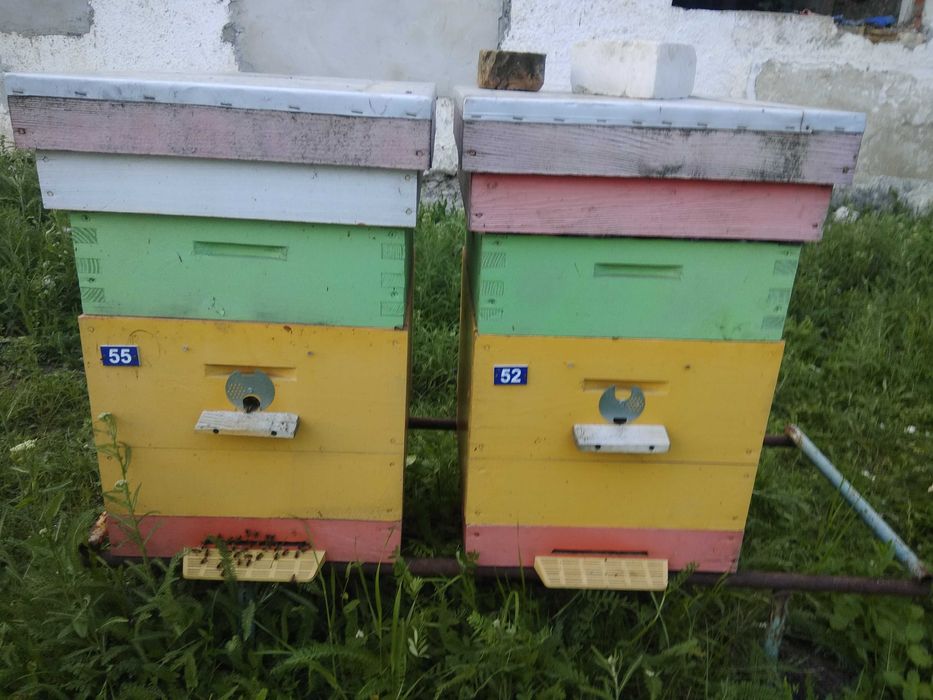 Продам вулики 10 рамок дадан