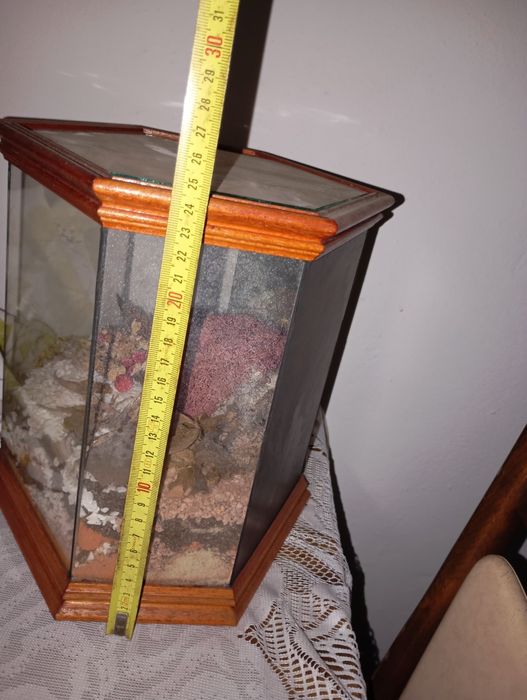 Terrário hexagonal decorativo