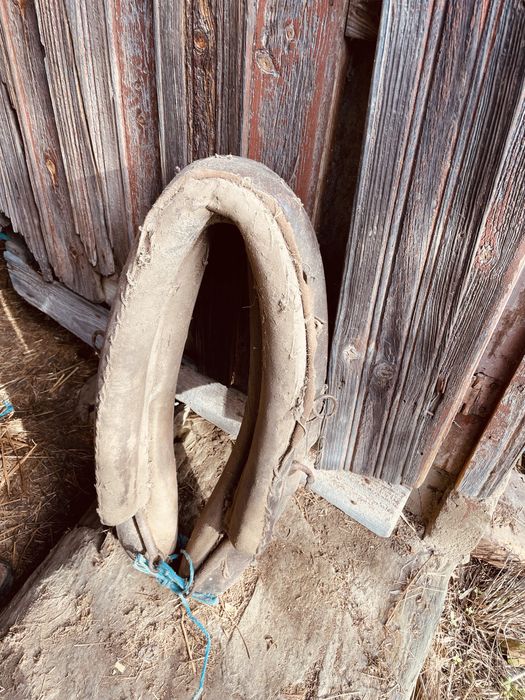 Arreio de cavalo antigo