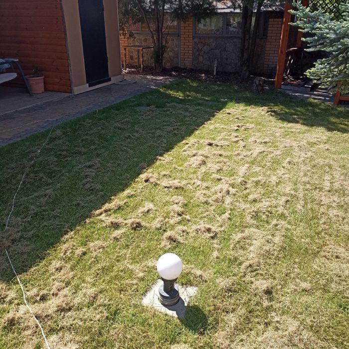 Стрижка газона,аэрация,скарификация, стрижка хвойных растений