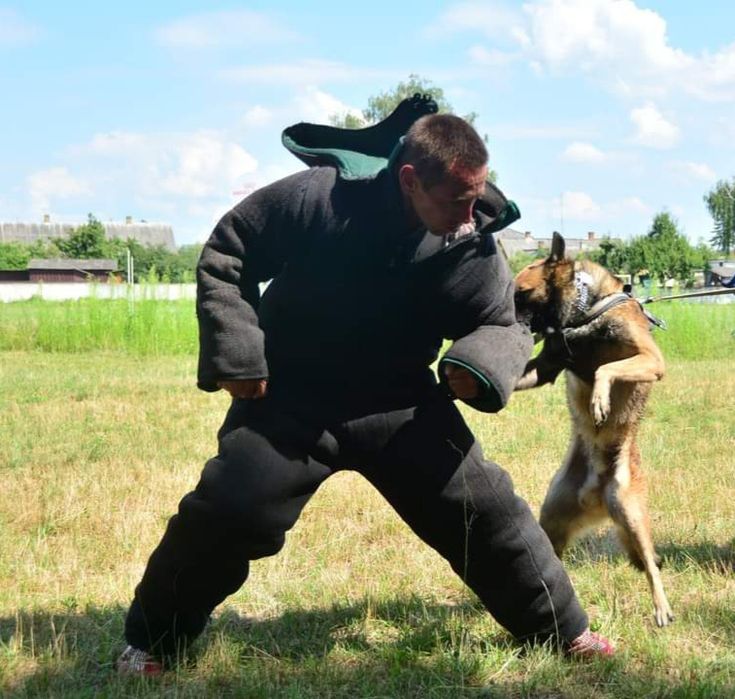 Кінолог. Дресирування собак.