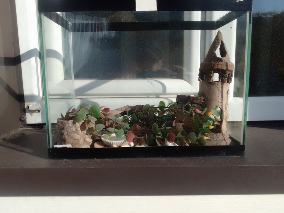 Акваріум для рибок 2 шт