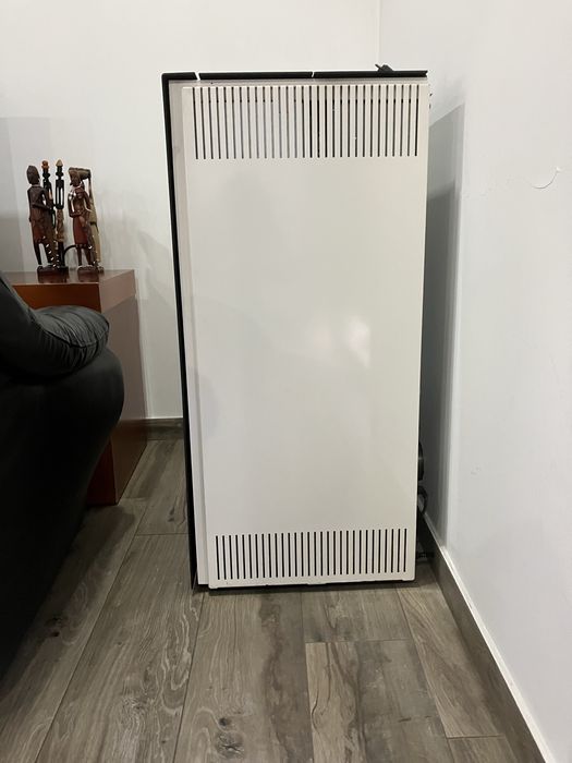 Salamandra a pellets com 3 anos