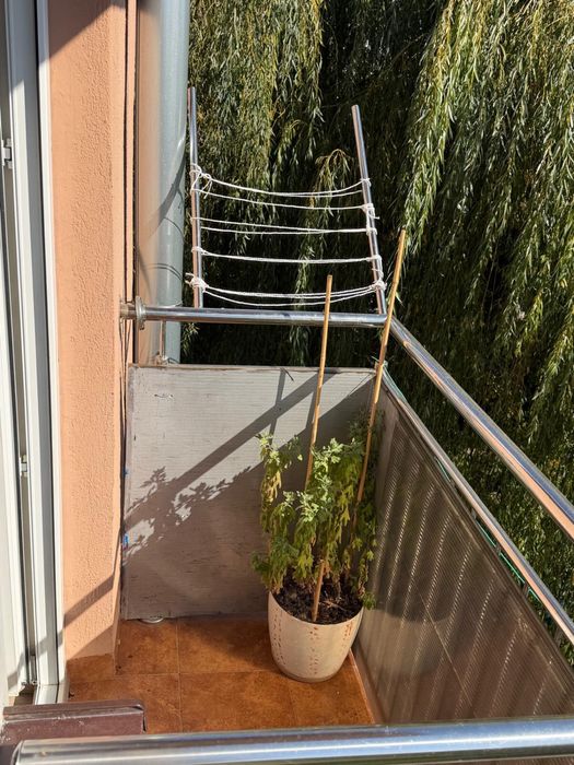 Dwupokojowe mieszkanie 40 m2 po remoncie