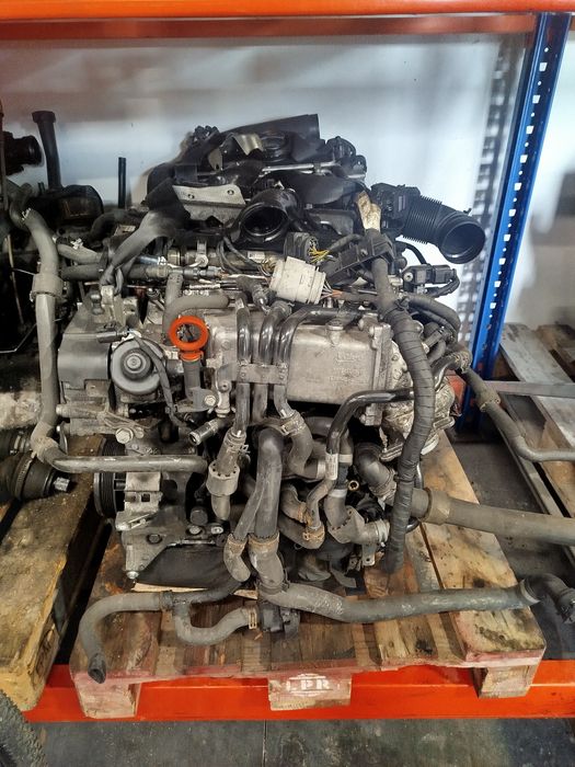Motor 1.6 TDI  CLH