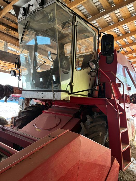 Мойсей форгусон 16