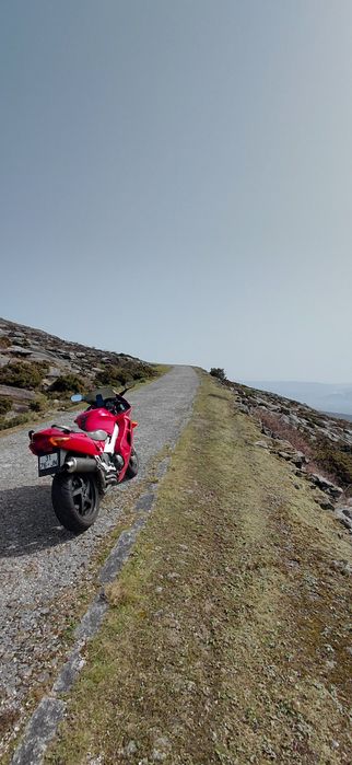Honda vfr 800 fi