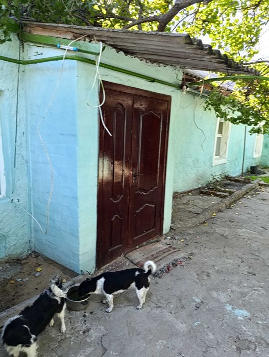 Продам дом с удобствами