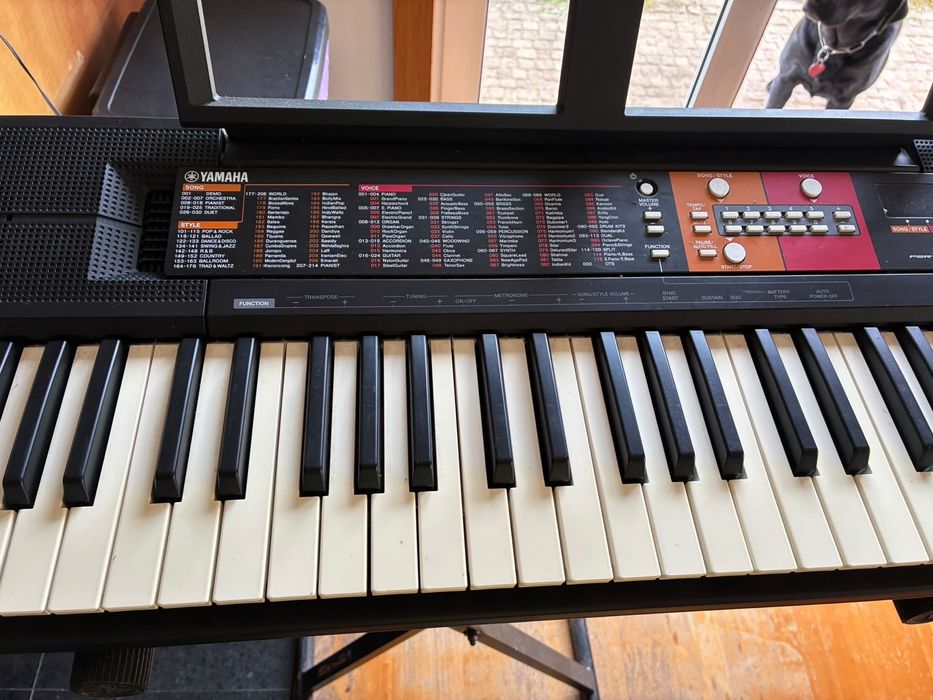 Teclado eletrónico Yamaha PSR-E51