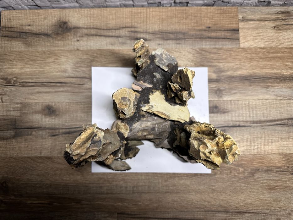 Готова композиція для акваріума/тераріума