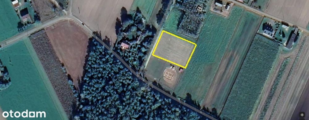 Działka budowlana 3000 m2 Brody Małe /Płock.